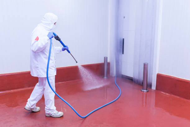Paint Preparation in Lawndale, CA